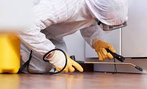 Best Residential Pest Control  in Dland, MI